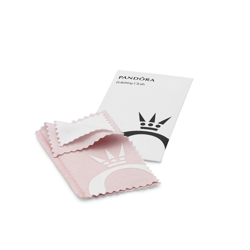 Care Kit Polishing Cloth