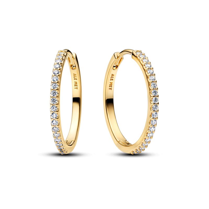 Sparkling Hoop Earrings