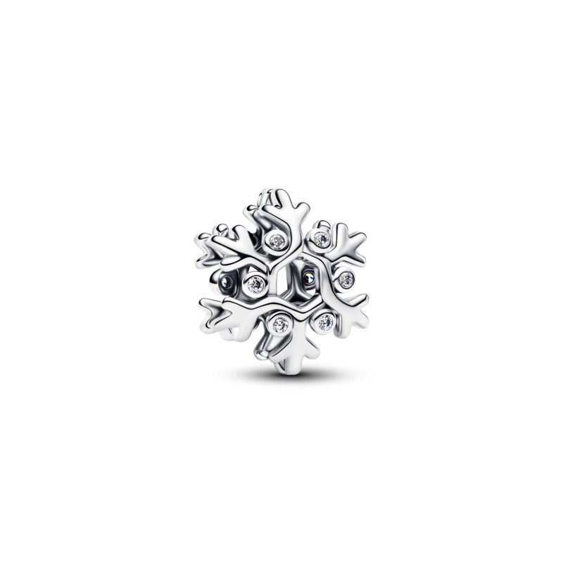 Snowflake Charm