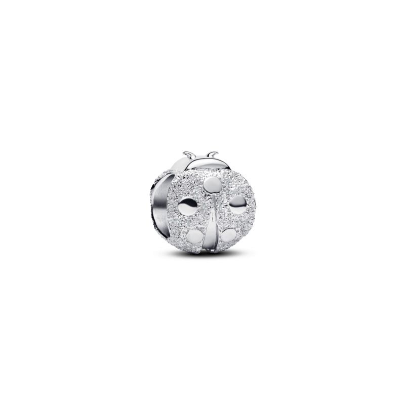 Textured Ladybird Mini Charm